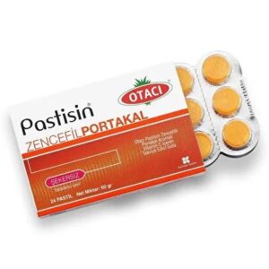 Otacı Pastisin Zencefil Portakal 24 Adet
