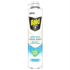 Raid Pure Böcek Dondurucu Sprey 350 ml